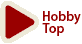 Hobby Top